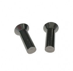 Stainless Steel Countersunk Head Rivets