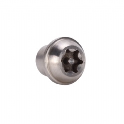 Stainless Steel Anti-theft Screw