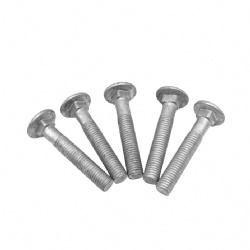 Hot Dip Galvanized Carriage bolt